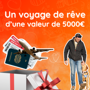 Privé : Ticket de tombola solidaire